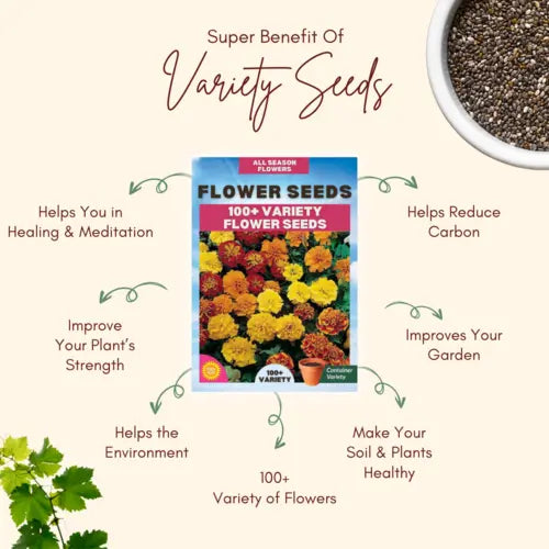 Varieties of Flower Seeds (Pack of 100) And Get Plant Growth Supplement Free